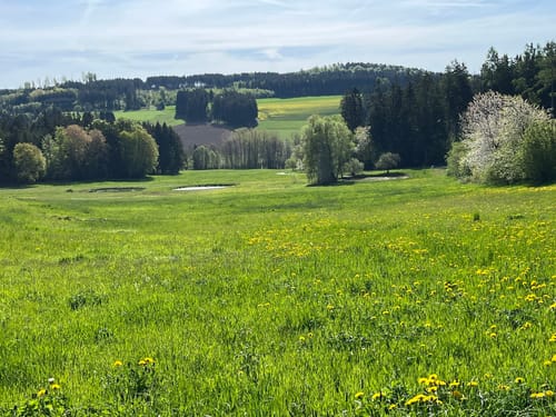 Mühlenweg rund um Buckenreuth und Guttenberger Hammer