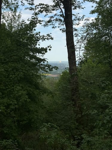 Kaiser-Wilhelm-Denkmal bis Wittekindburg