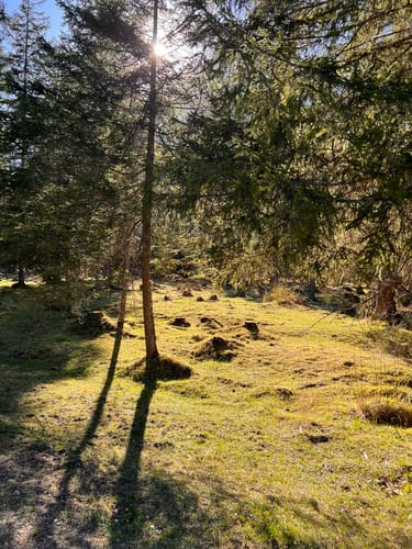 Vom Hintersee zur Engert Holzstube