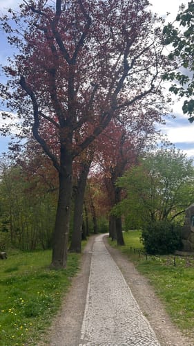 Teufelsmauer ab Quedlinburg