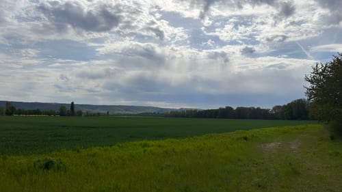 Teufelsmauer ab Quedlinburg