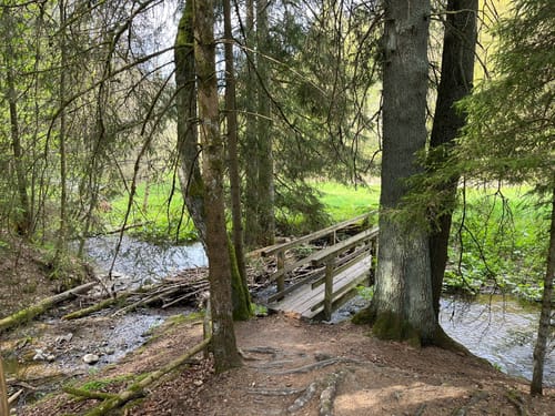 Mühlenweg rund um Buckenreuth und Guttenberger Hammer