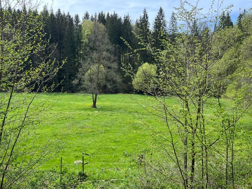 Mühlenweg rund um Buckenreuth und Guttenberger Hammer