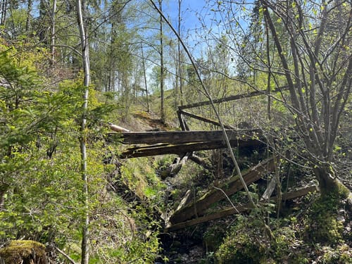Mühlenweg rund um Buckenreuth und Guttenberger Hammer