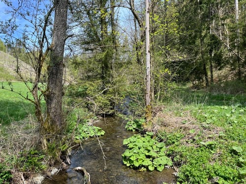 Mühlenweg rund um Buckenreuth und Guttenberger Hammer