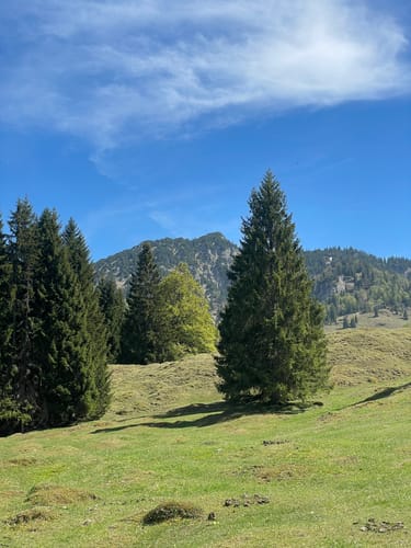 Zur Königsalm