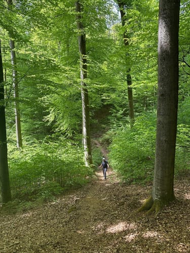 Königsweg (Premiumwanderweg)