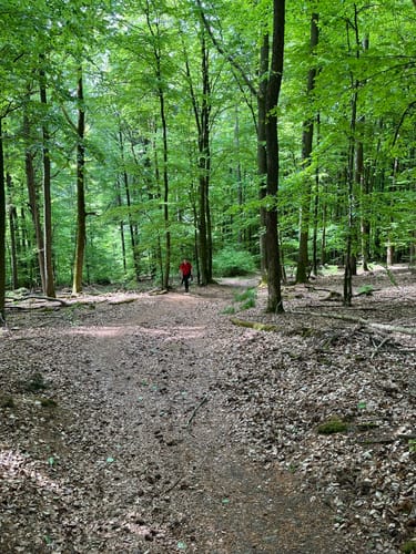 Königsweg (Premiumwanderweg)
