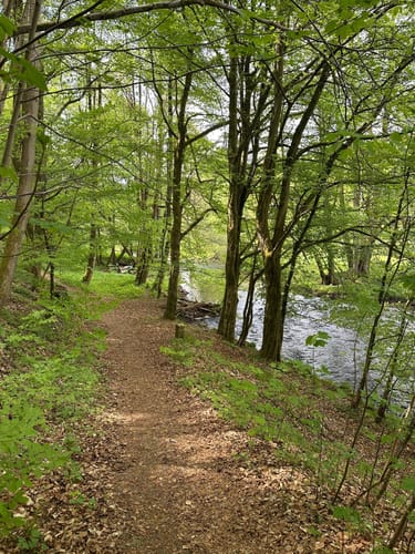 Königsweg (Premiumwanderweg)