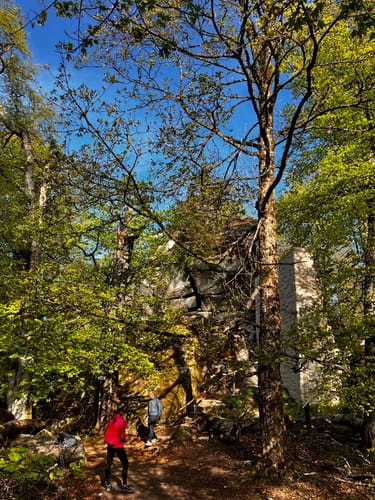 12-Gipfel-Tour Fichtelgebirge