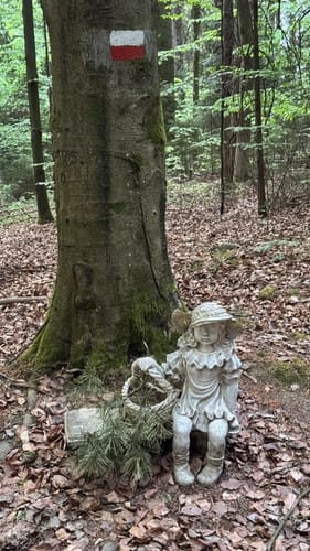 Haidstein Rundwanderung