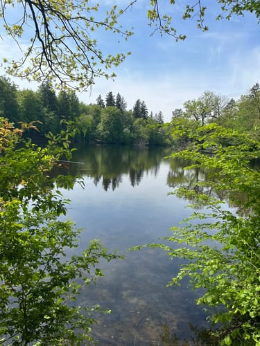 Bärensee Rundweg