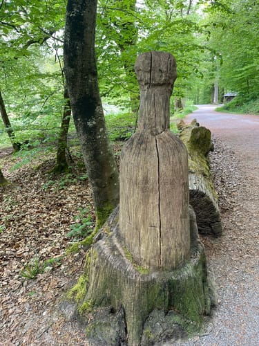 Bärensee Rundweg
