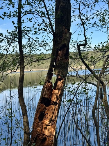 Schulzenhof - Großer Törnsee - Zeutensee
