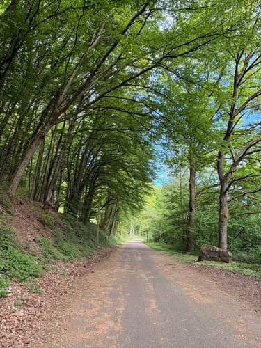 Weilerbach - Pfeifertal