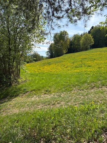 Rund um Arnbruck