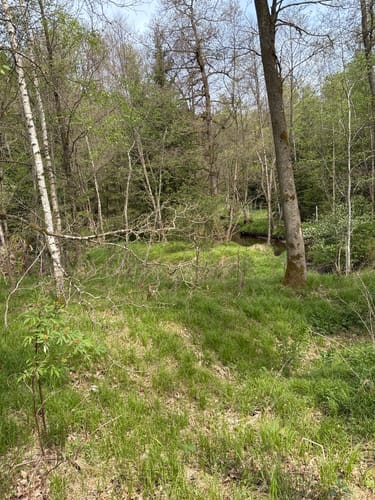 Rund um Arnbruck