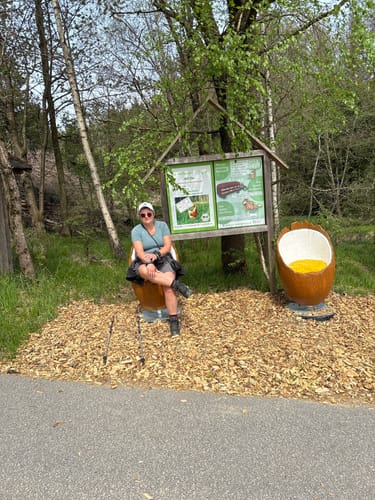 Rund um Arnbruck