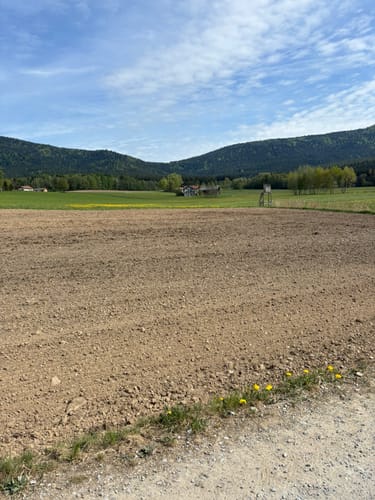Rund um Arnbruck