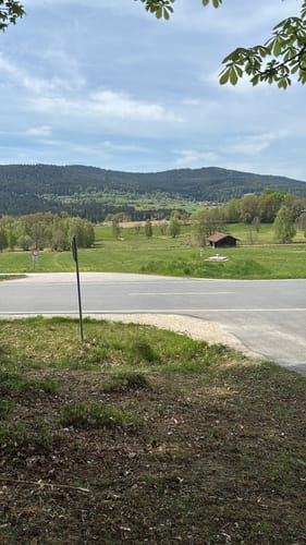 Rund um Arnbruck