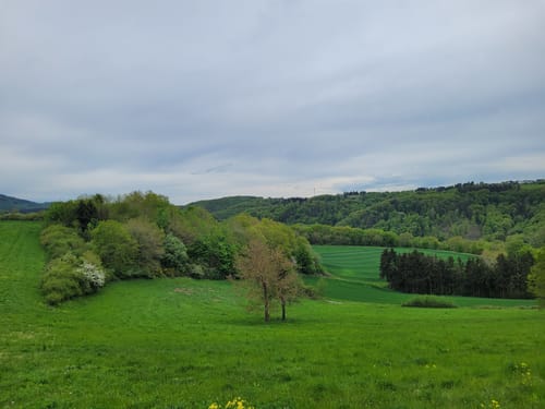 Riedener Seeblick (Premiumspazierwanderweg)