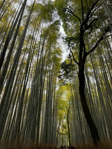 戸無瀬の滝 - hikes and trails to get you there | AllTrails