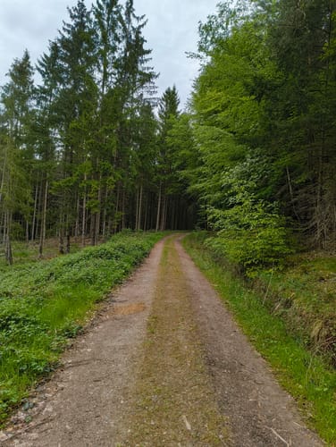 Schankweiler (Naturpark Südeifel Wanderweg 52)