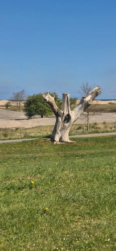 An der Steilküste Runde von Weißenhäuser Strand