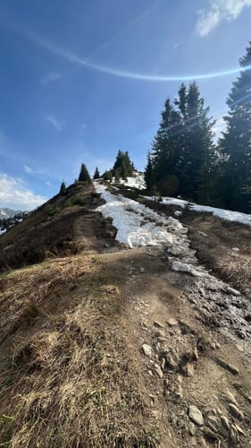 Schnippenkopf - Heidelbeerkopf - Sonnenkopf