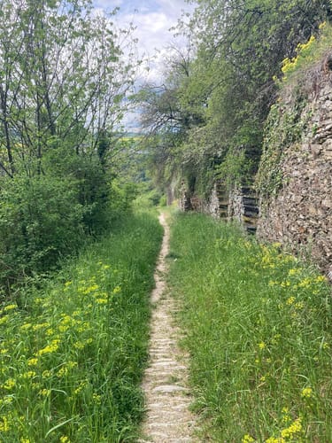 Dreiburgenblick
