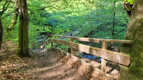 Lahnwanderweg Etappe 5: Buchenau - Caldern