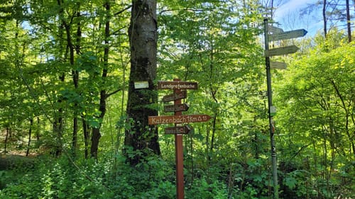 Lahnwanderweg Etappe 5: Buchenau - Caldern
