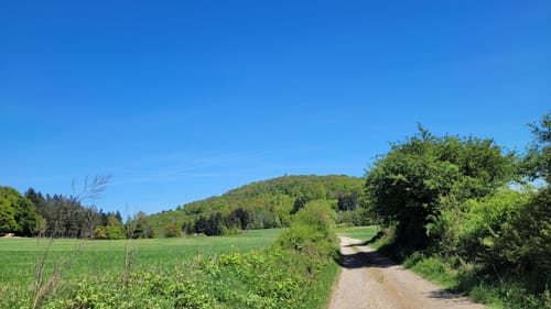 Lahnwanderweg Etappe 5: Buchenau - Caldern
