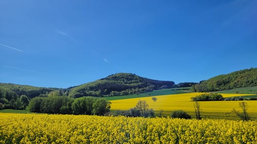 Lahnwanderweg Etappe 5: Buchenau - Caldern