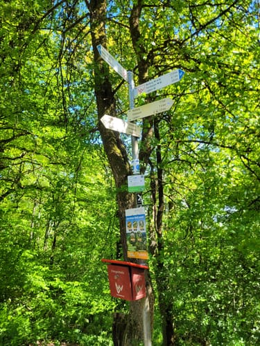 Lahnwanderweg Etappe 5: Buchenau - Caldern
