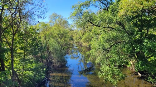 Lahnwanderweg Etappe 5: Buchenau - Caldern