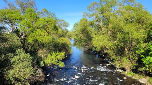Lahnwanderweg Etappe 5: Buchenau - Caldern