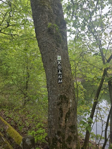 Kleine Brüningsen Runde