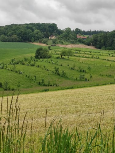 Zwischen Undingen und Wöpplingsberg