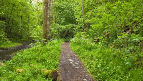 Baybachklamm (Traumschleife)