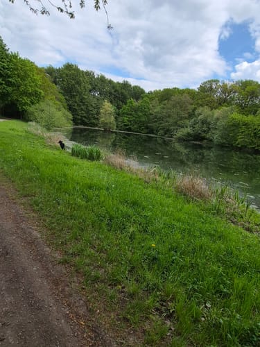 Um den See am Kleihügel