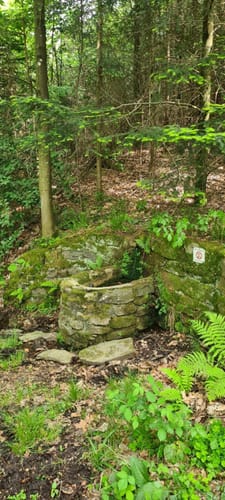 Hardsteinkreuz Laufrunde