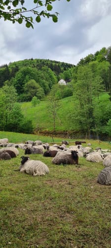 Hardsteinkreuz Laufrunde