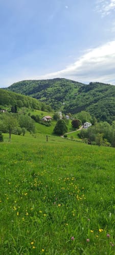 Hardsteinkreuz Laufrunde