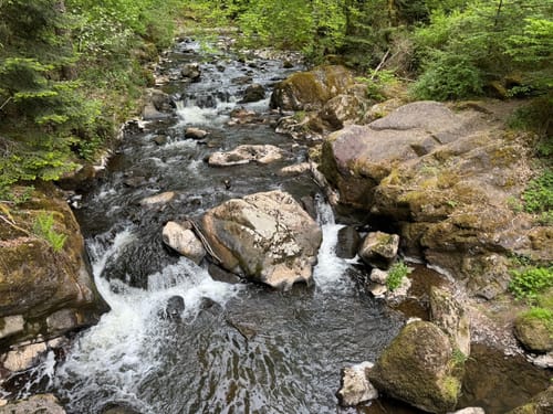 Tiefblicke und schattige Ufer an Lieser und Kleiner Kyll