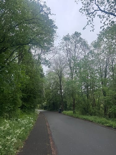 Gerolsteiner Felsenpfad (Vulkaneifel-Pfade)
