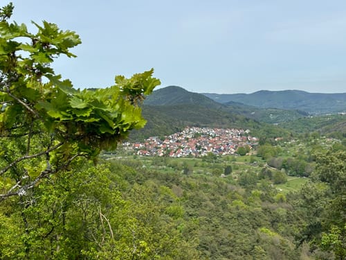 Geiersteine-Tour (Premiumwanderweg)