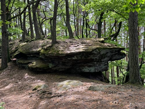 Geiersteine-Tour (Premiumwanderweg)