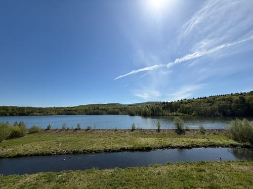 Bad Pyrmont - Schiedersee