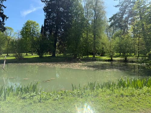 Bad Pyrmont - Schiedersee